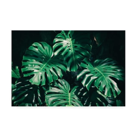 PhotoINC Studio 'Tropical Green Palm' Canvas Art,22x32